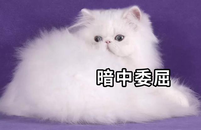 14亿人要吃饭 最快全面复工要多久?