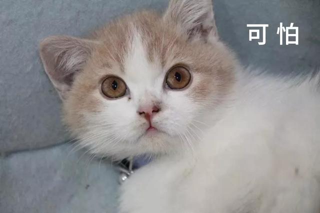 14亿人要吃饭 最快全面复工要多久?
