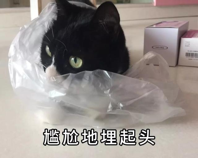 14亿人要吃饭 最快全面复工要多久?