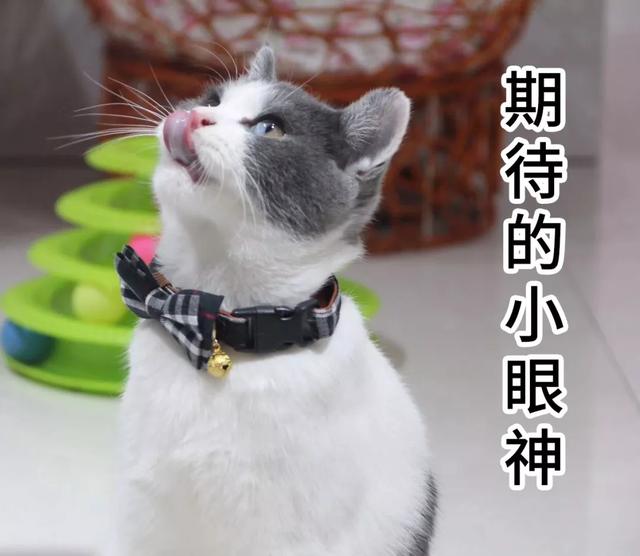 14亿人要吃饭 最快全面复工要多久?