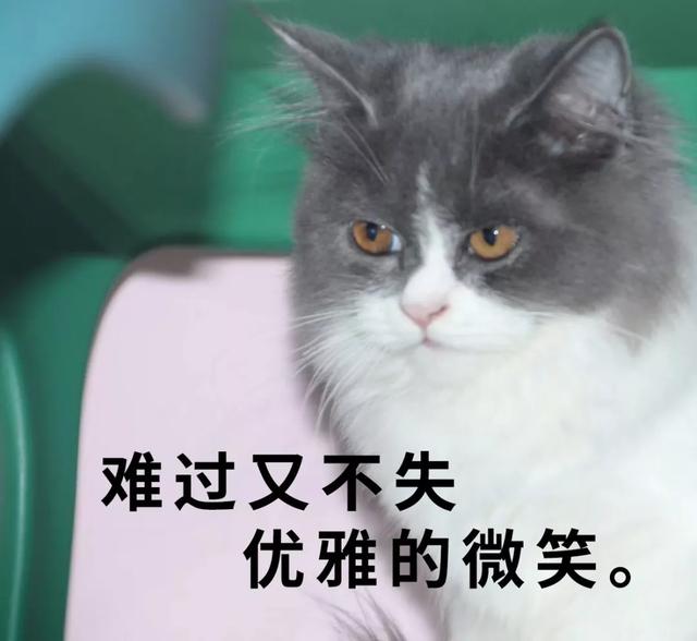 14亿人要吃饭 最快全面复工要多久?