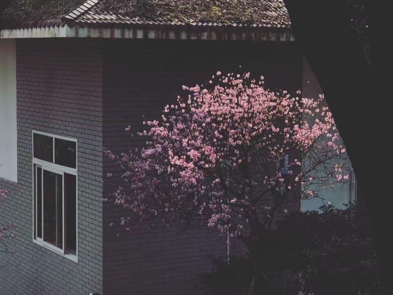 重磅专题:湖北各市医疗能力研究,黄石排第几?
