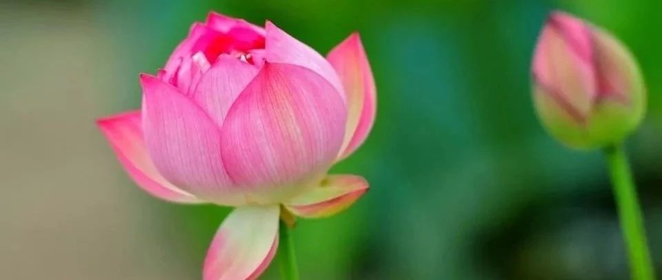 活着2020 | 挺住意味着一切