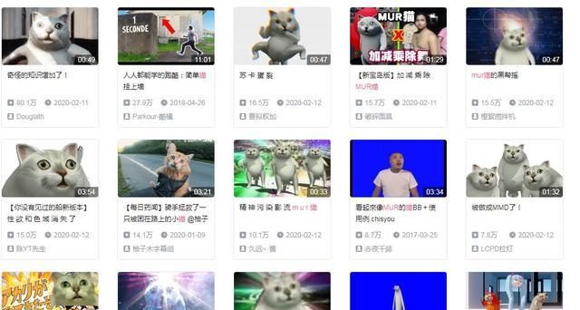 奇怪的知识增加了 从表情包到鬼畜 这个猫头怎么火遍