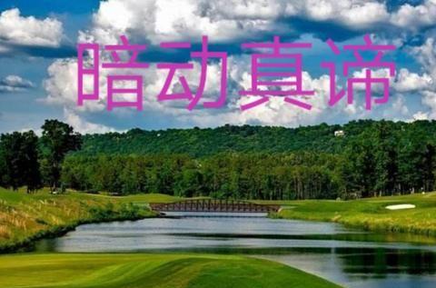 情况尚未明确：观海卫小巷子的爱情真的能找到天长地久的感觉吗？