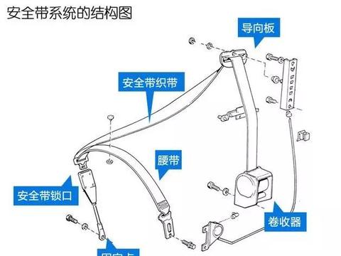 我刚知道！安全带竟然还需要保养？