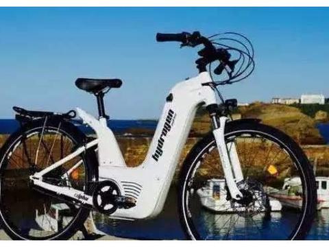 跟电动车彻底说再见，新车亮相，8元能跑100公里不充电