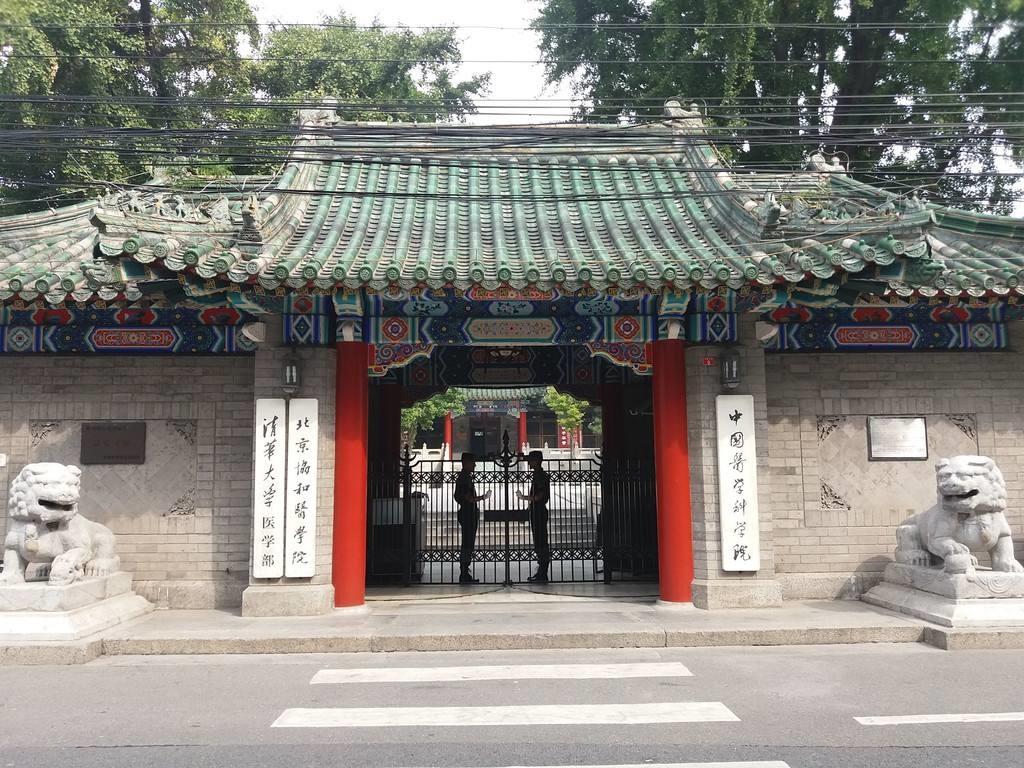 中国“临床医学”专业前十强，还是教育部的排名最权威