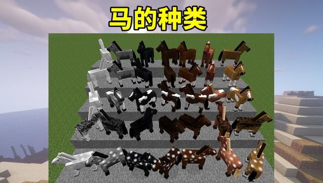 我的世界 教你快速驯服到一匹好马