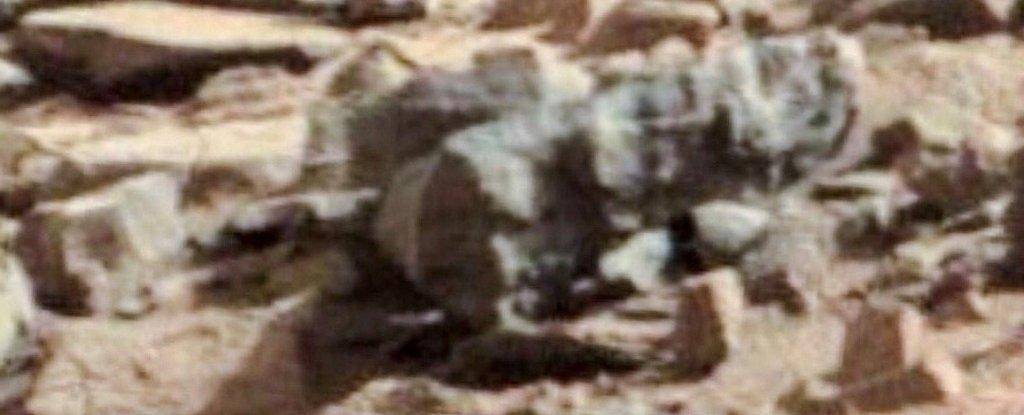 火星上的化石证明了生命的存在,这已经被证实
