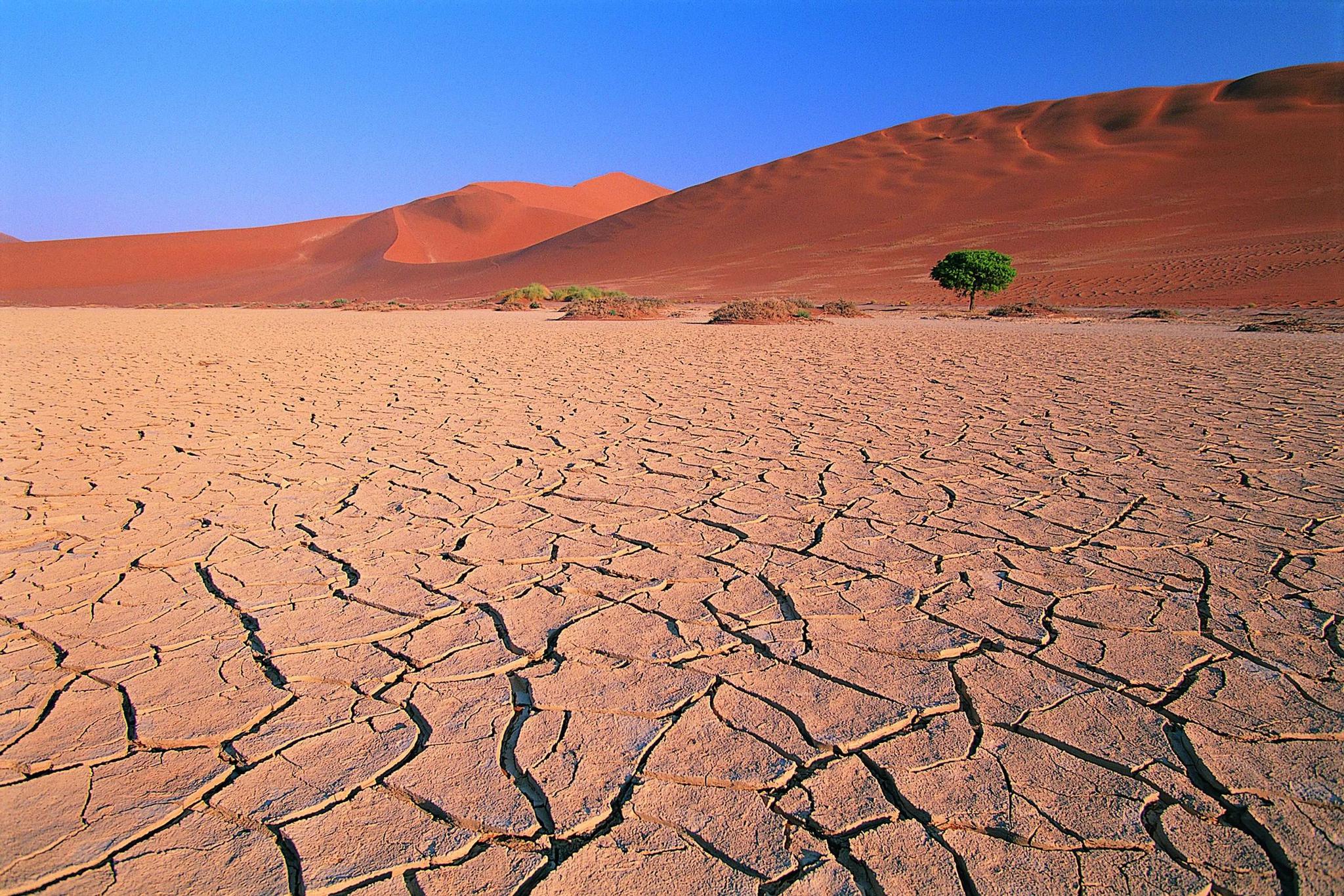 撒哈拉沙漠：一年的雨水不够泡杯咖啡，却有3000人离不开|撒哈拉|撒哈拉沙漠|苏丹_新浪新闻