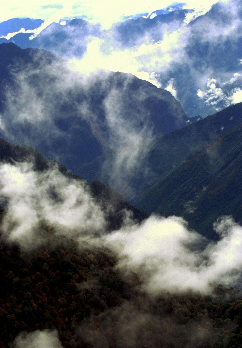 地球上最北端的热带雨林—西藏墨脱,中国最后的一块秘境 地球上最北端的热带雨林——西藏墨脱,中国最后的秘境