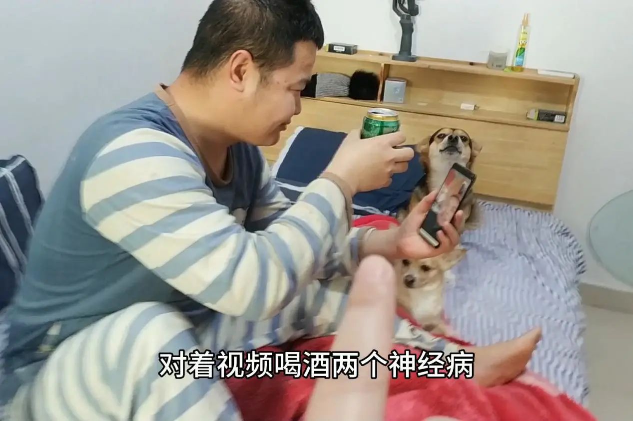 这个春节最奇葩的喝酒方式:戴口罩喝、隔窗喝、云端喝