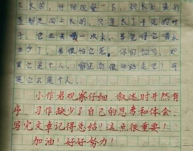 她是代课教师,写的作业评语像印刷体