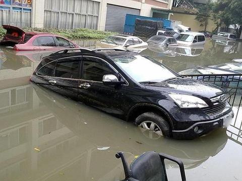 汽车泡在水里，老司机却不愿意挪车？定损员：这是高手