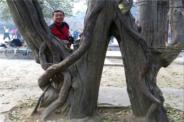 柏门珠沼:钟灵毓秀的古代奇景,8处仅剩1处,千年涅槃风采不变