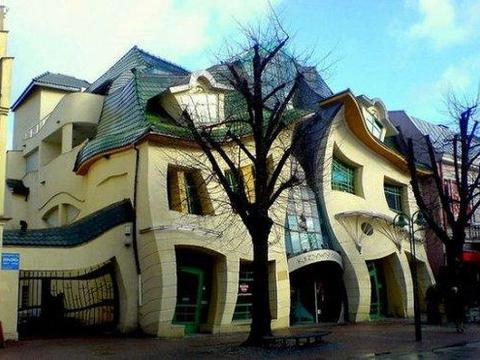 奇特蛙类大揭秘 蛙类品种与生活习性