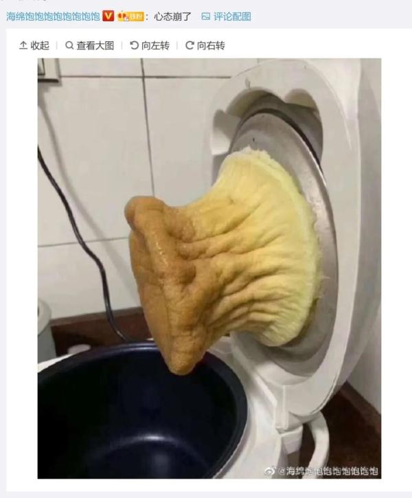 “电饭锅蒸蛋糕”大型翻车现场！你们都是搞笑版中华小当家吗