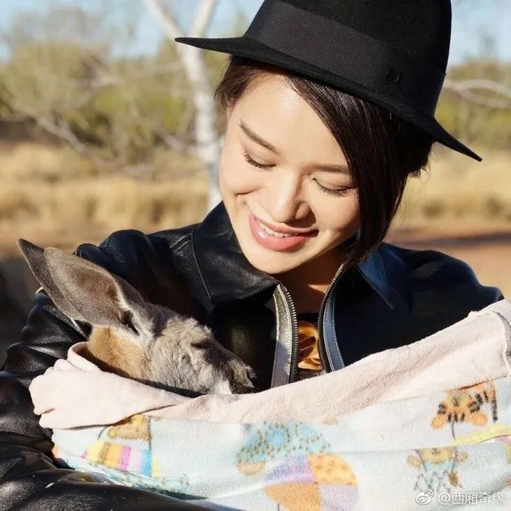 杨怡胡杏儿的TVB辉煌时刻居然已经过去10年了!!!