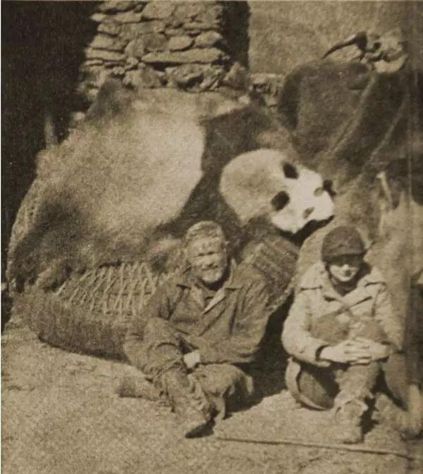专家:你看大熊猫上古时期都叫啥|阿尔芒|戴维|大熊猫_新浪新闻