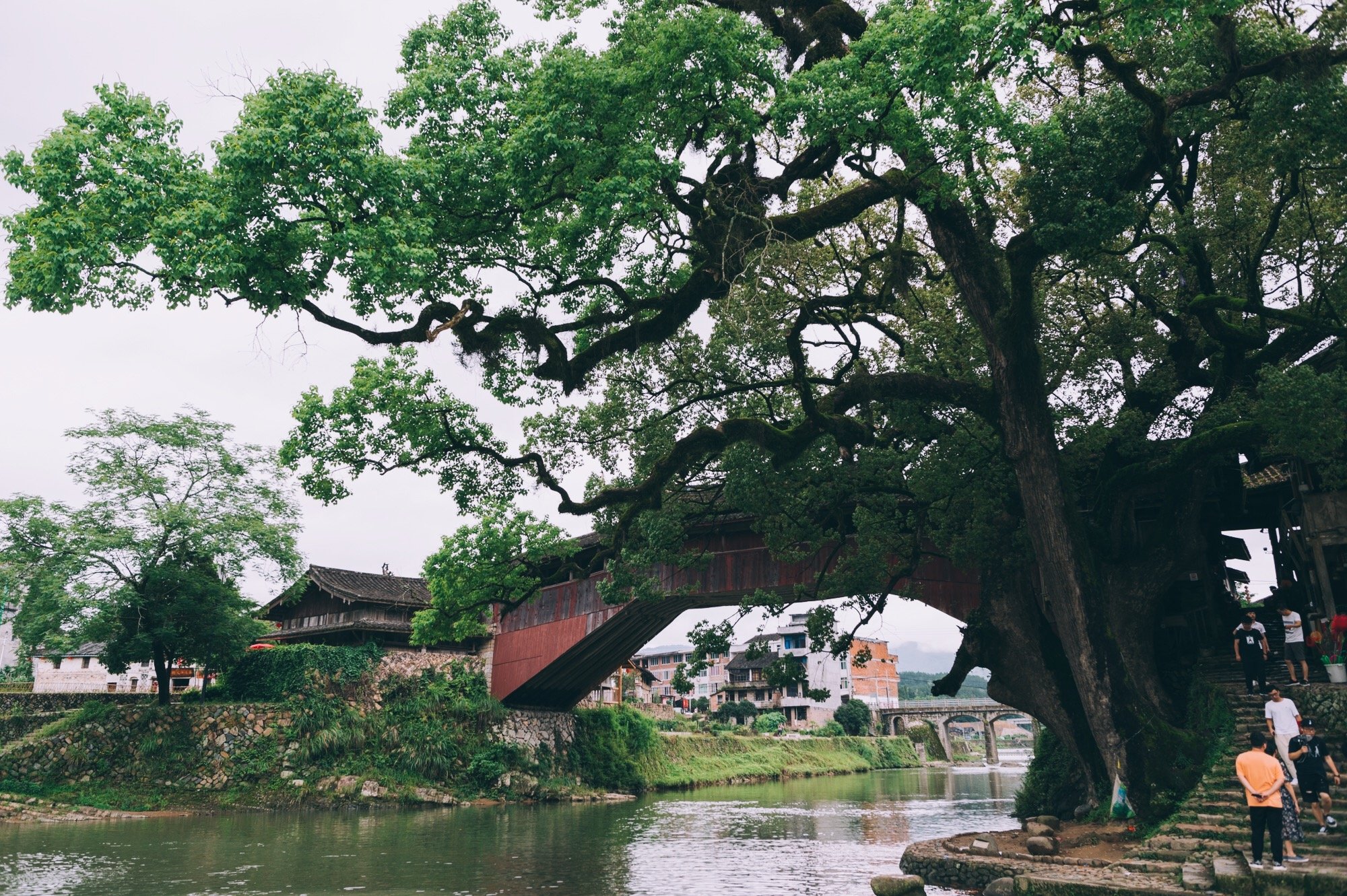 温州不止有皮革厂，还有“世界上最美的廊桥”，迄今350年历史