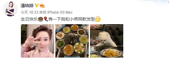 九球天后潘晓婷与父母庆祝38岁生日，没有男人陪伴，把狗当孩子养
