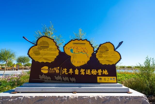 疫情过后，只有一个人也要去的地方，大漠胡杨林