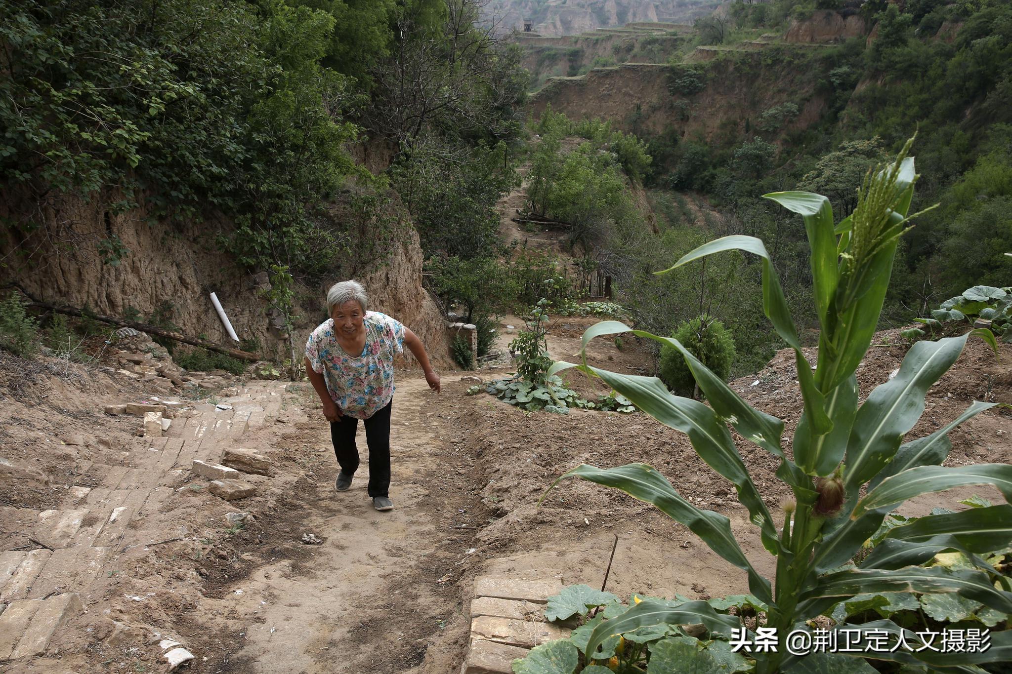 无人机在黄土大山发现1户人家,离婚老人独居20年,看活成啥样