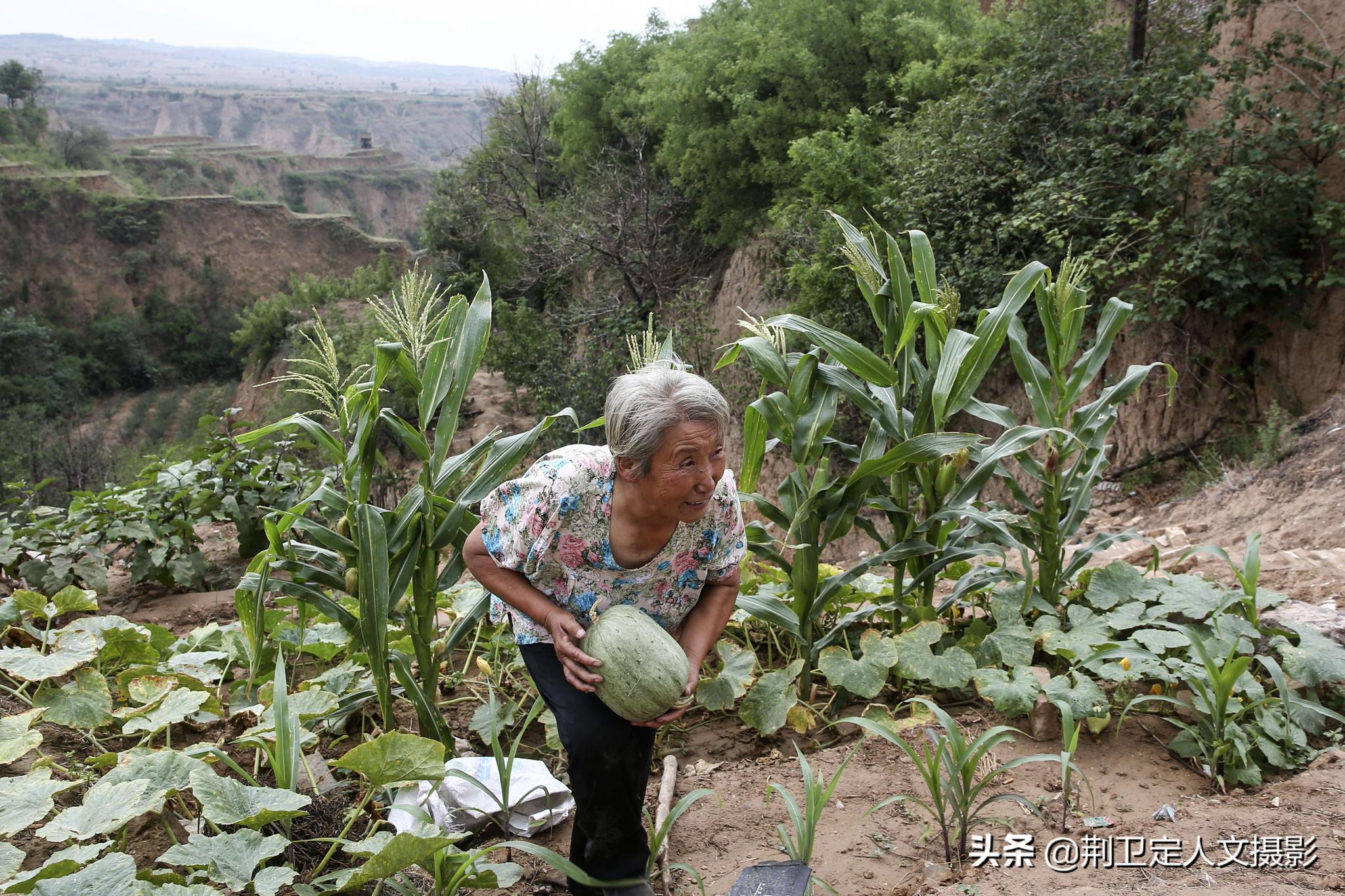 无人机在黄土大山发现1户人家,离婚老人独居20年,看活成啥样