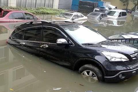 汽车泡在水里，老司机却不愿意挪车？定损员：这是高手