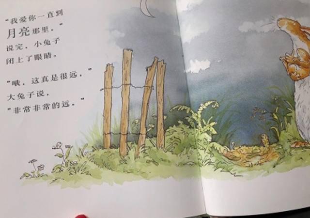 0-6岁孩子适合看什么绘本?根据年龄段选择,一步步培养阅读兴趣