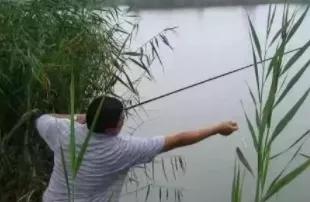 钓鱼也有大忌,句句说到心坎里!