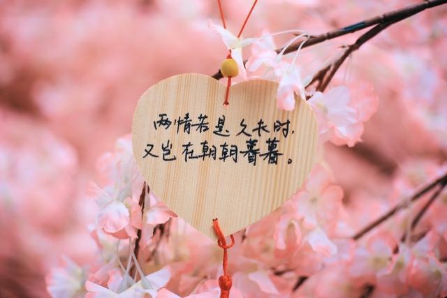 经典的爱情感悟,看的淡一点,伤的就会少一点