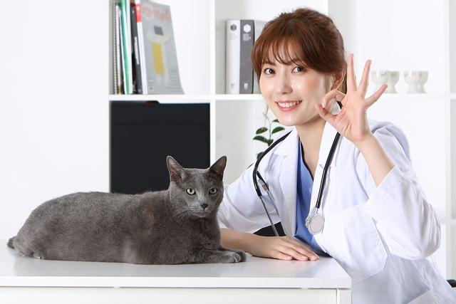 doctor什么意思 老外常说的