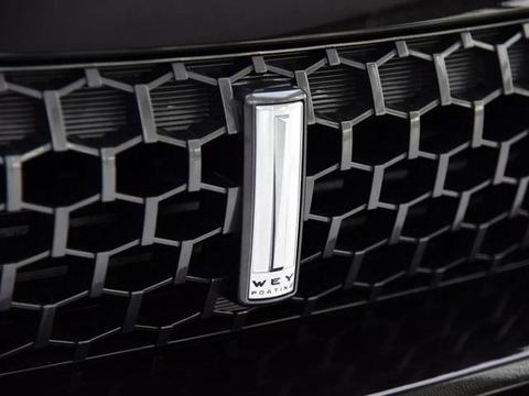 WEY经销商探店体验，全程免费接送，买车售后零接触