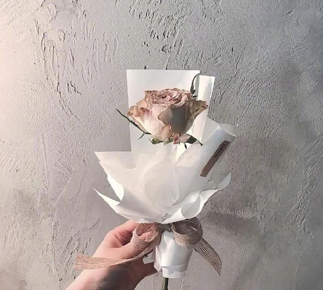 三月的句子: 惊艳三月的好句子,做个性签名的最佳选择! 惊艳三月的好句子,做个性签名的最佳选择!