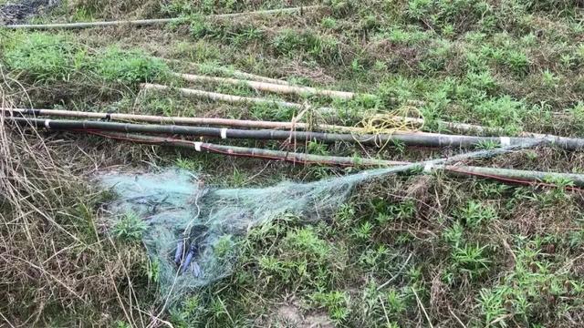 四川嘉陵江南充段“电鱼人”疯狂捕捞,禁渔制度成为“空谈”