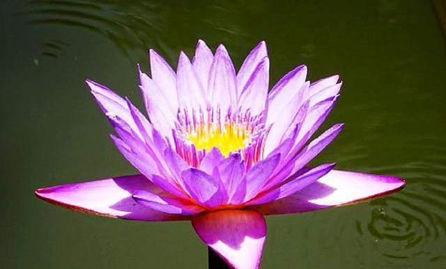 有深意的人生感悟短语，句句走心，读读受益匪浅