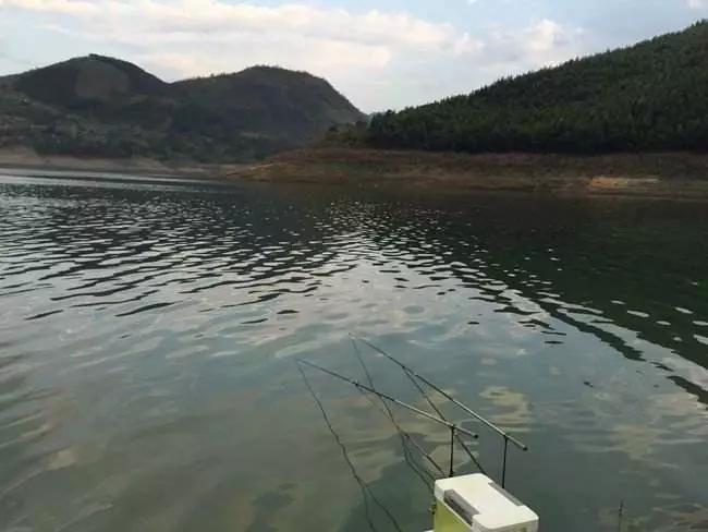 鲤鱼钓凸，鲫鱼钓凹！