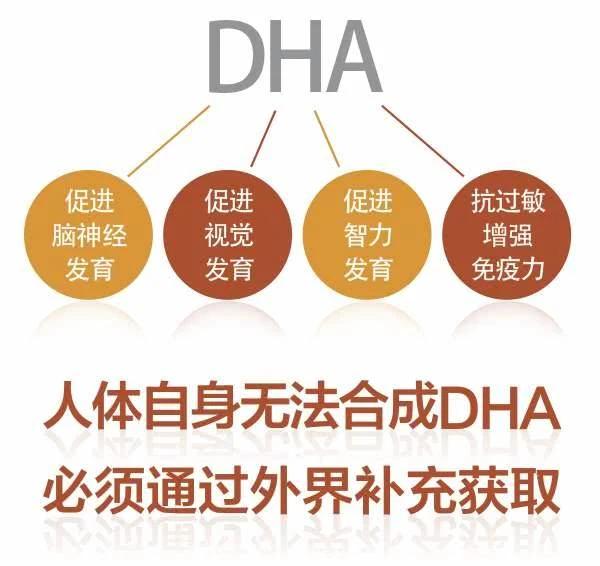 怀孕后多久可以补充dha?