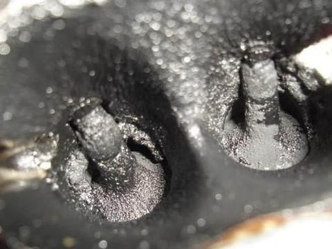 车子出现这几种情况，表明该清理发动机积碳了！不懂得学学