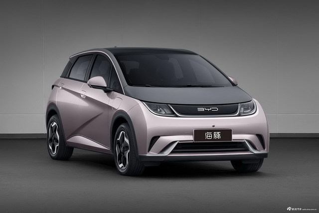 2021款比亚迪海豚 基本型