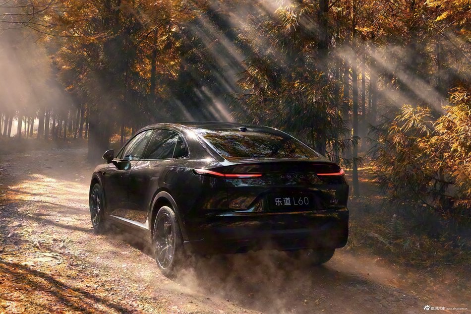 2025款乐道L60 黑骑士特别版 官图