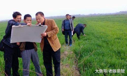 19年起, 农村3类耕地要交税, 标准出来了, 符合