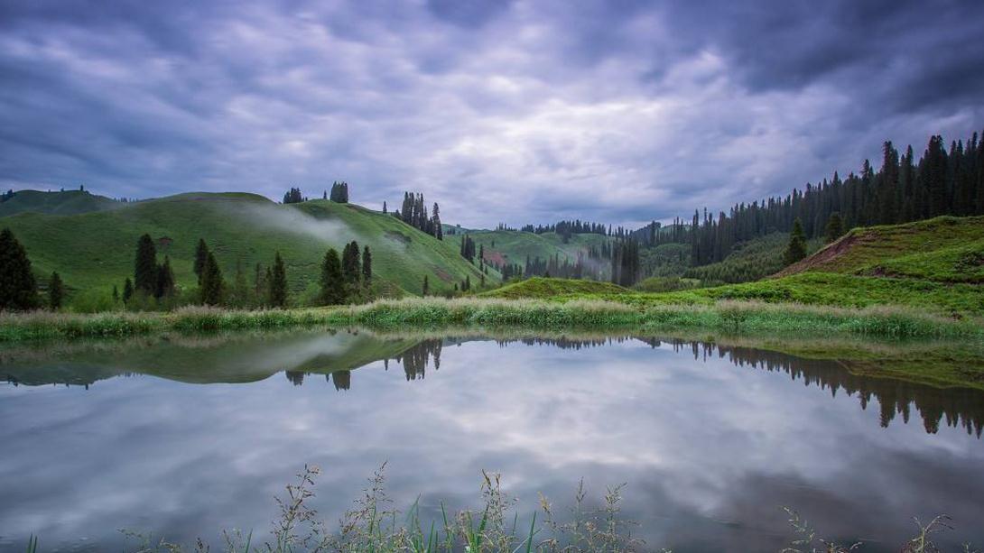 你知道鱼总浮出水面时为什么钓不到鱼吗?这里