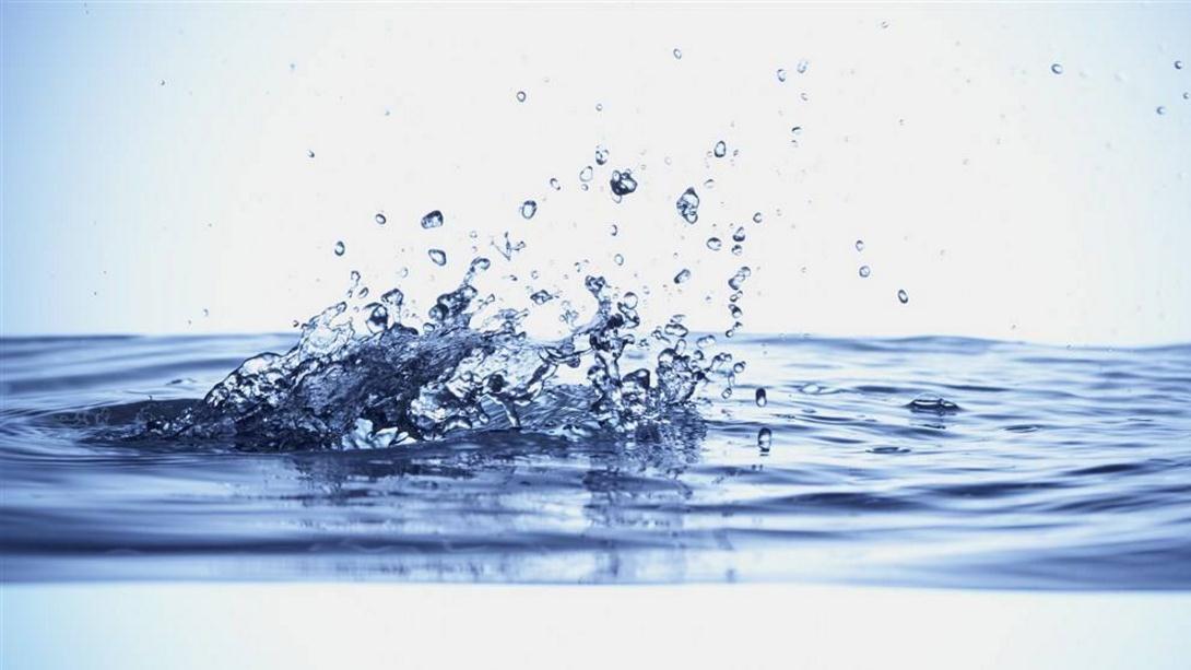 你知道鱼总浮出水面时为什么钓不到鱼吗?这里