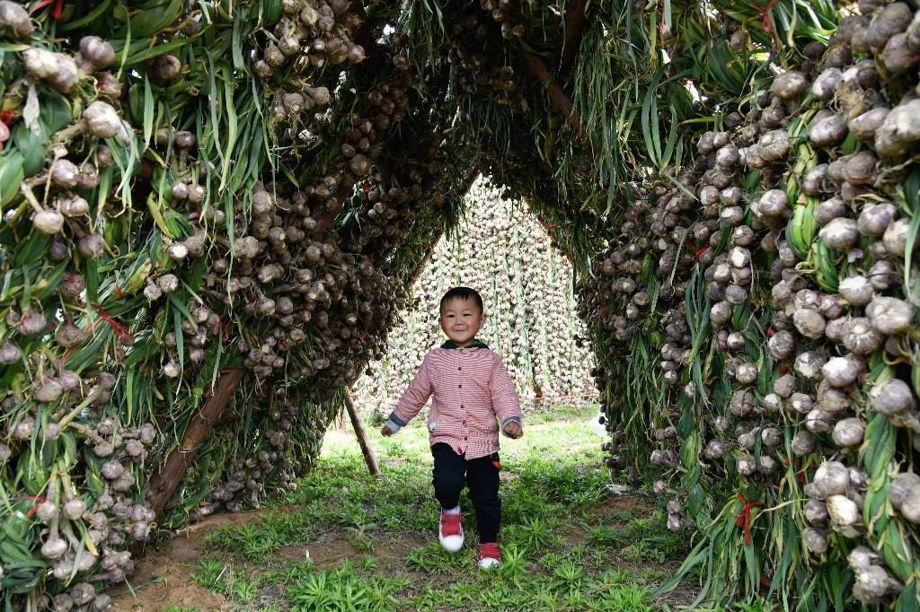 响应国家《乡村振兴战略规划(2018-2022年)》