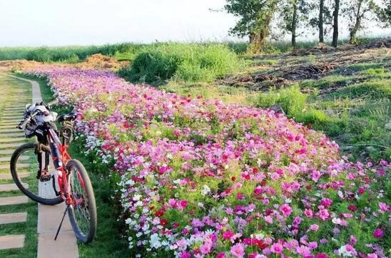 昆明最适合学生党穷游的地方:要的就是便宜又