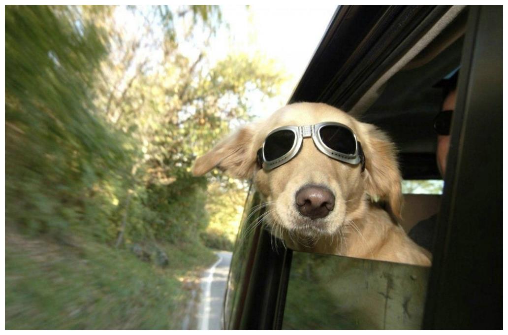 搞笑段子:科目一没考过,回家给爸爸讲