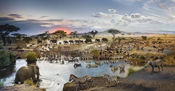 受中国援助最多的非洲国家,因为一个中国人一